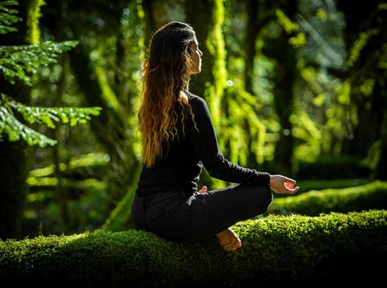 yoga-nel-bosco