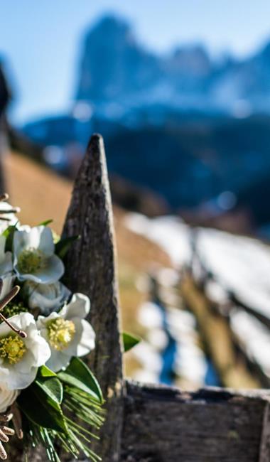 Composizione floreale bianca su una staccionata in legno con sfondo sfocato.
