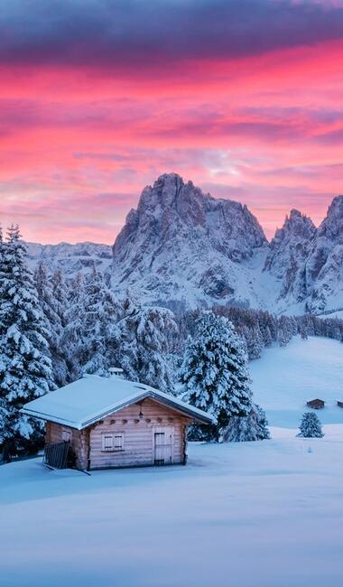 Snow-covered landscape with a wooden hut and conifers in front of the Dolomites beneath a pink sky.