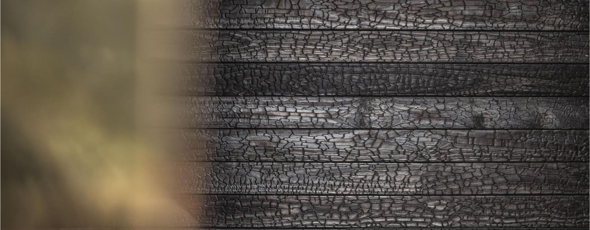 The dress of the Maison: carbonized wood
