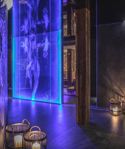Art-SPA im Wellness Hotel Alpin Garden